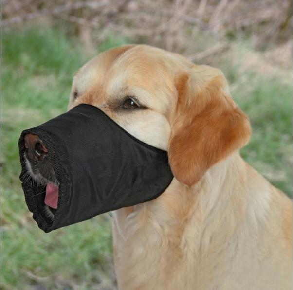 Actual product image Trixie Muzzle (M, Dog, Dog sport)