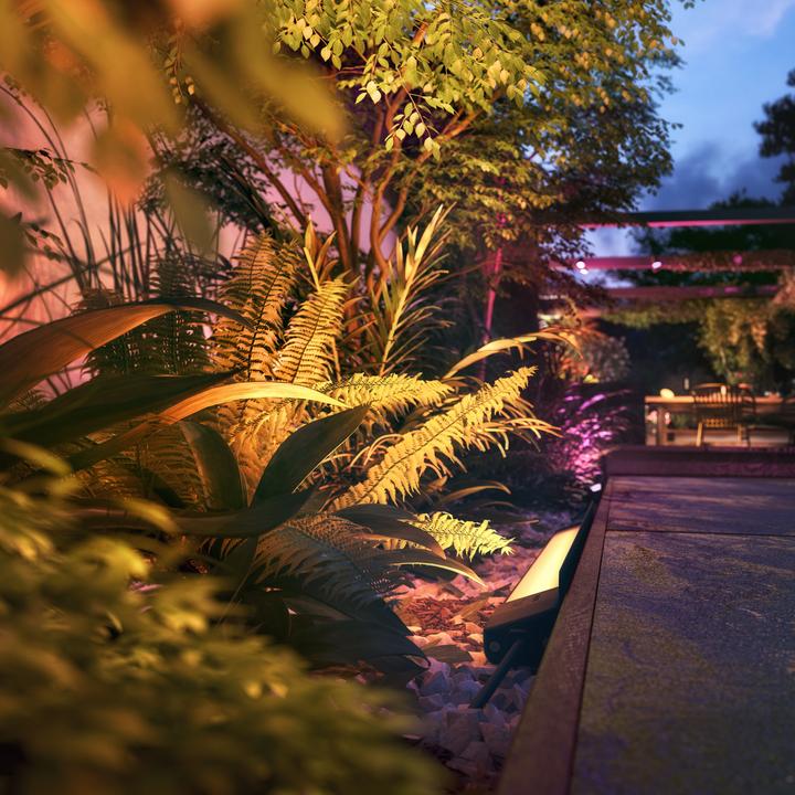 Actual product image Philips Hue Outdoor Power Supply