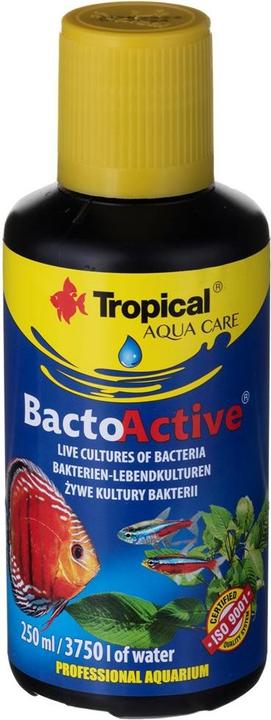 Immagine prodotto Tropical Colture batteriche vive BactoActive per acquari 250 ml (Fertilizzante per acquari)