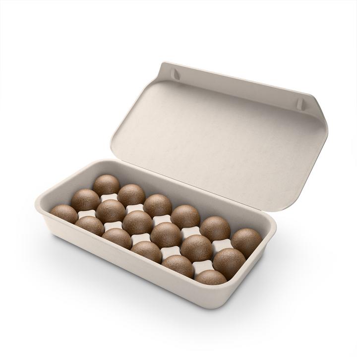 Actual product image CoffeeB Lungo Forte (18 x Port.)