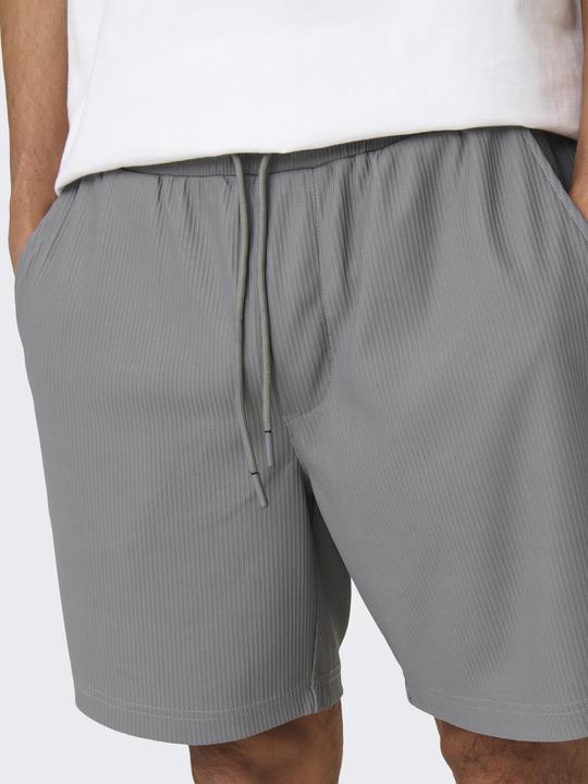 Only & Sons Onstel Life Plizze Shorts Noos