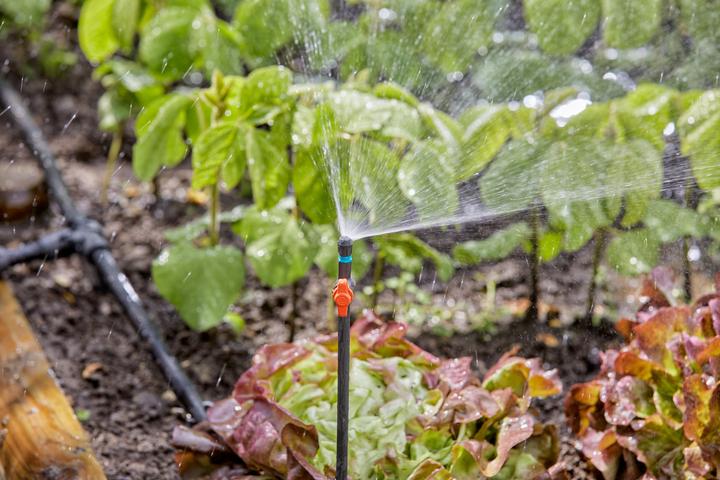 Actual product image Gardena Micro-Drip System (Drip hose + drip tube)