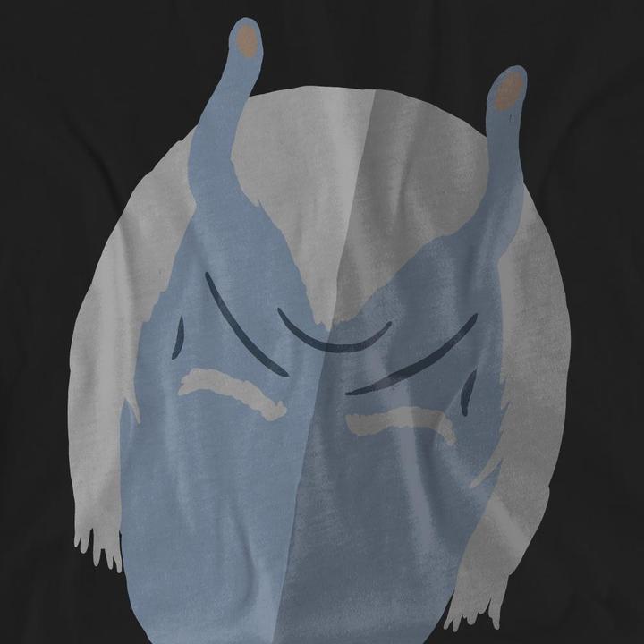 Actual product image Unisex Adult The Andorian T-Shirt (M)