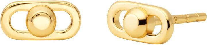 Image du produit Michael Kors Boucles d'oreilles Premium (Argent 925)