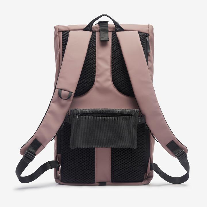 Viola, Rosa