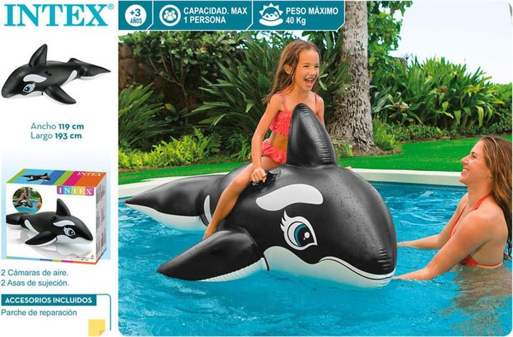 Actual product image Intex Whale