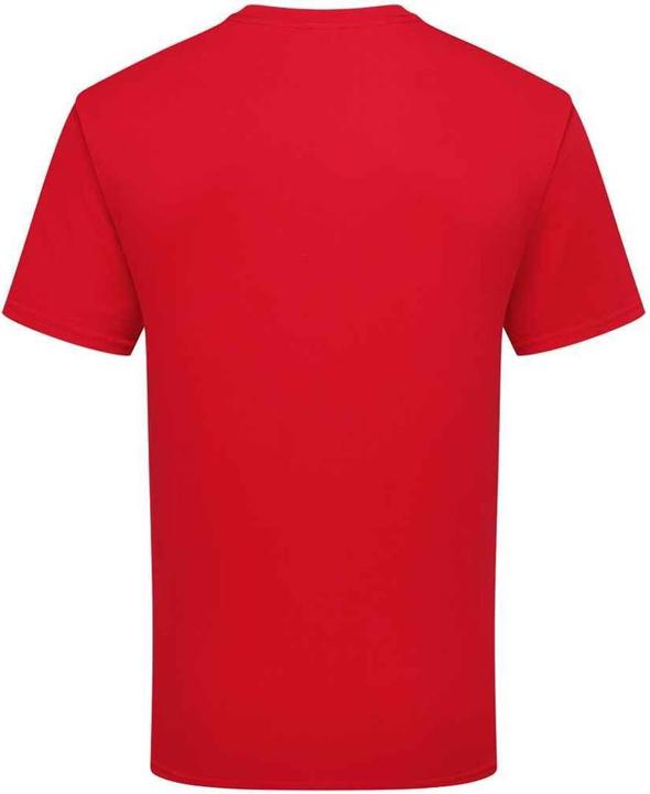Actual product image Fruit of the Loom Unisex Adult Cotton T-Shirt (XXL)