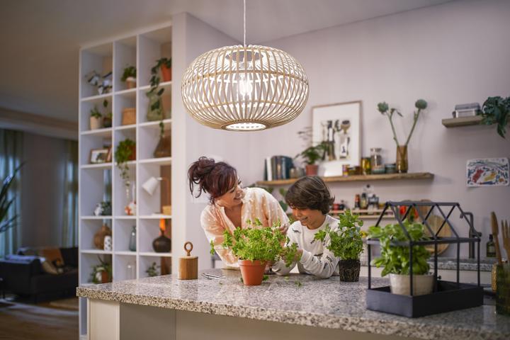 Immagine prodotto Philips Lampada (E27, 2.30 W, 485 lm, 1 x, A)