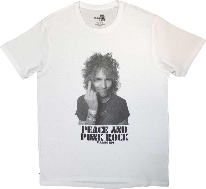 The Flaming Lips Peace and Punk