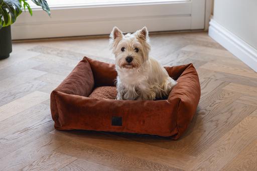 Produktbild Designed by Lotte Yndis (Hund)