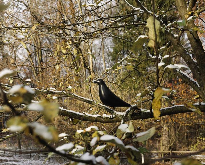 Image du produit Vitra Eames House Bird