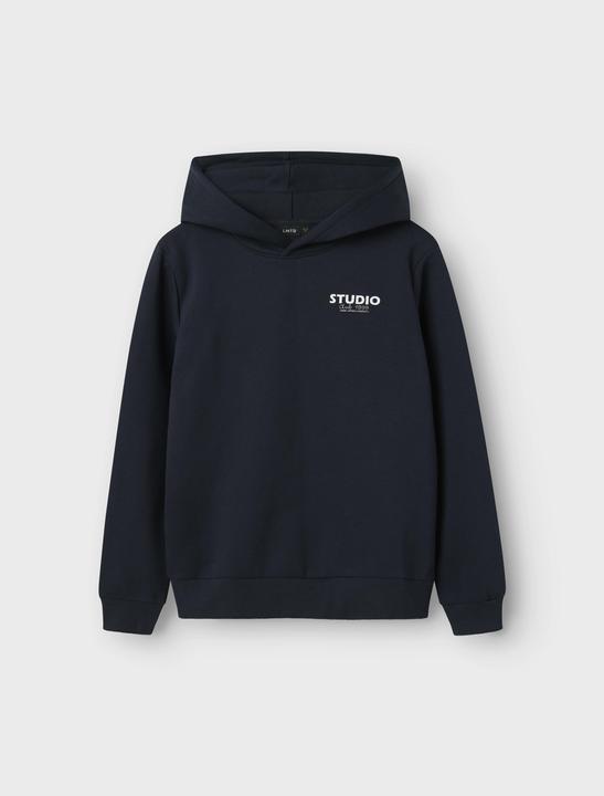 Actual product image Lmtd Relaxed fit hoodie (134)