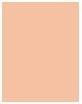 Actual product image Sisley Stylo Correct No 2 (2 Light)