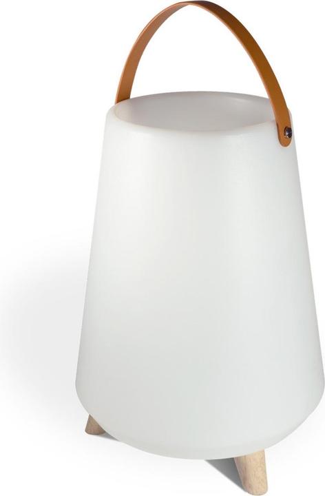 Image du produit Easy Life Haut-parleur Bluetooth et refroidisseur de vin Lumière LED 30x41 cm