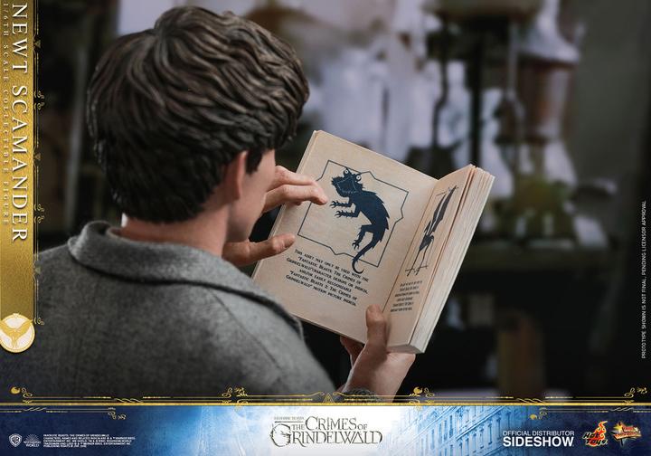 Image du produit Hot Toys Les Animaux Fantastiques 2 "Newt Scamander" 1/6 Scale Figurine