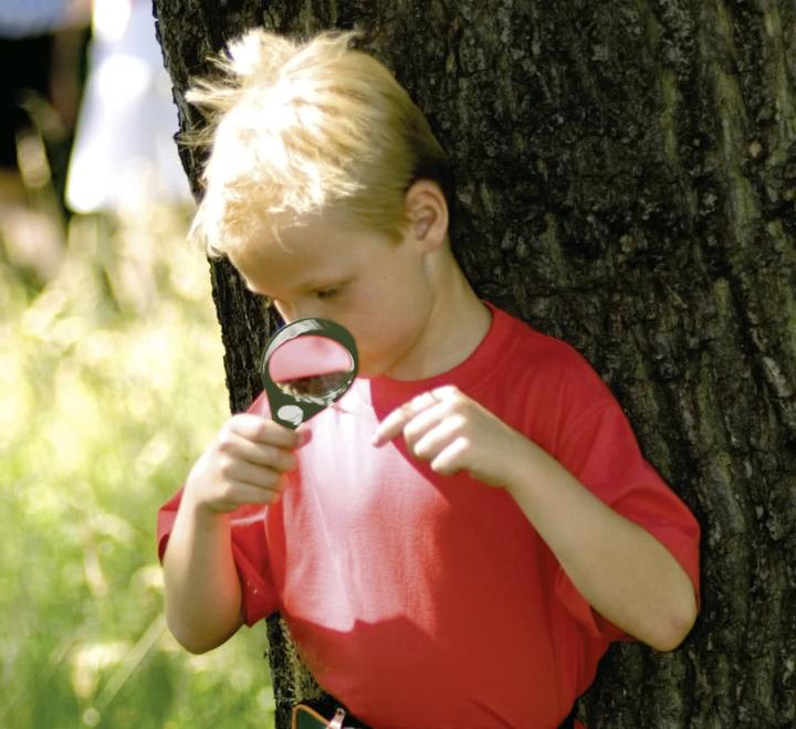 Image du produit Scout Loupe