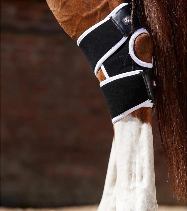 Immagine prodotto Premier Equine ginocchiere magnetiche per cavalli magni-teque