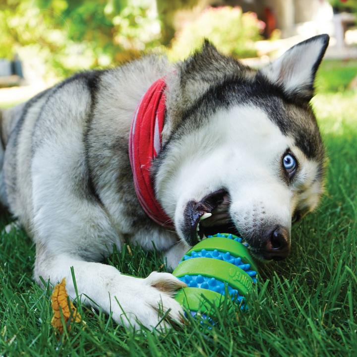 Image du produit KONG Jouet pour chien Squeezz Goomz Ball (Jouet à balle chien)