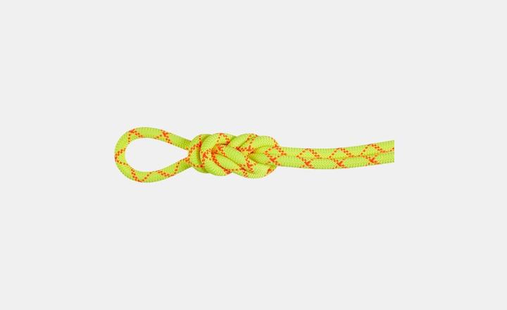 Actual product image Mammut 9.5 Alpine Core Protect Dry Rope (50 m)