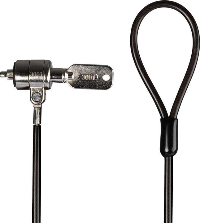 Image du produit Lindy Câble de sécurité pour ordinateur portable Câble de sécurité avec cadenas Kensington