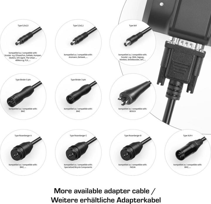 Actual product image Lion Travel charger one4all for e-bike and e-scooter 36 V (900 Wh, E-bike charger)