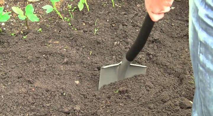 Immagine prodotto Fiskars 1025375 Pala/trowel Spade Acciaio, Acciaio inossidabile
