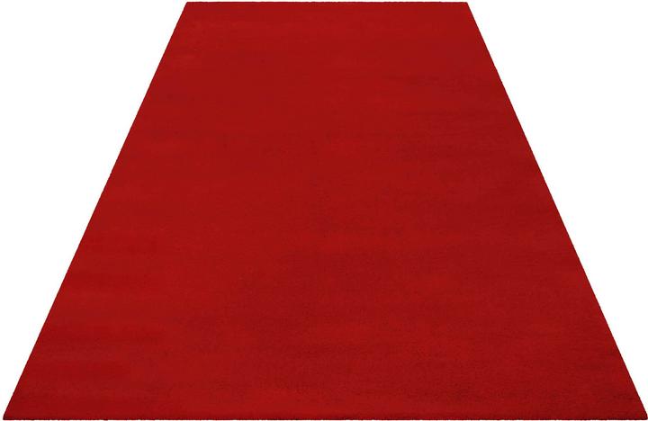 Actual product image Esprit Greenwood Rug (170 x 240 cm)