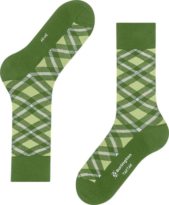 Immagine prodotto Burlington Tartan SO (40 - 46)