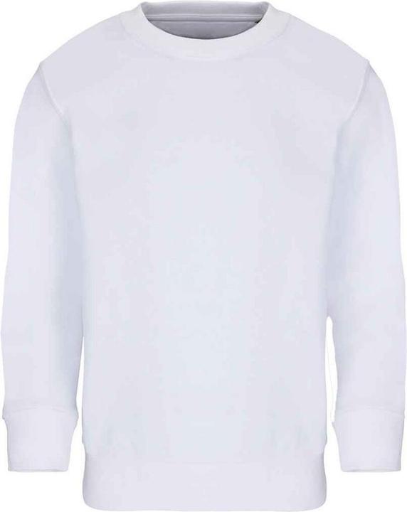Actual product image Sols Childrens/Kids Columbia Sweatshirt (104)