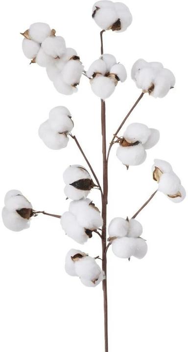 Boltze Home Cotton (68 cm)
