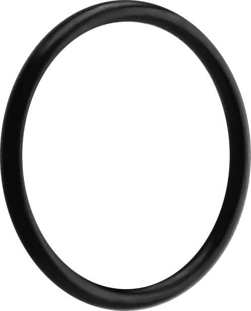 Image du produit Star Piercing Joint torique noir (sans laiton, Silicone)