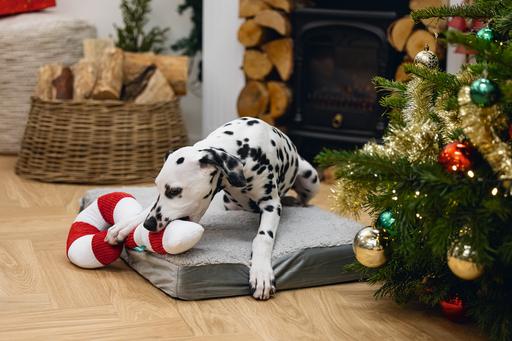 Image du produit Beeztees Les jouets de Noël (Jouet en peluche chien)