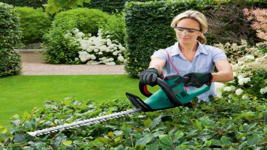 Produktbild Bosch Home & Garden AHS 60-26 Elektro (Elektroheckenschere)