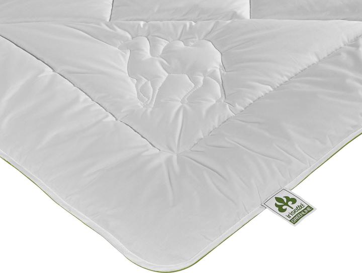 Actual product image Irisette Greenline Greenline camel hair ECO Duo warm (1800 g, 155 x 220 cm)