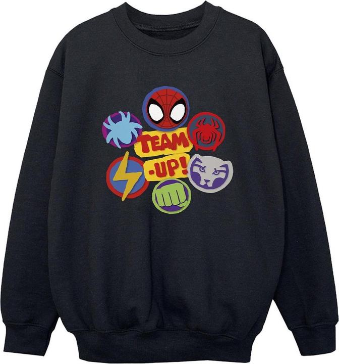 Spidey And His Amazing Friends Team Up Sweatshirt Jungen