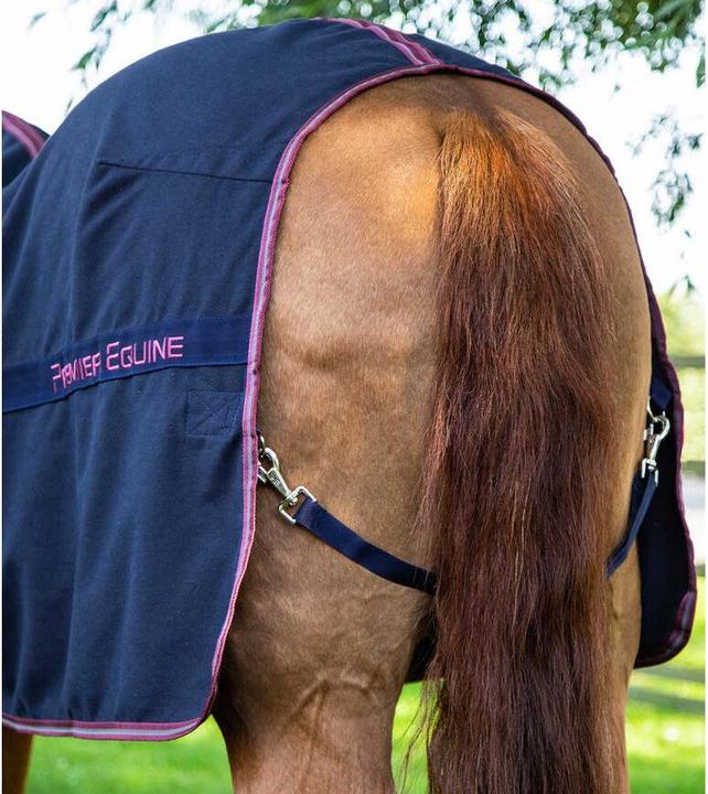 Image du produit Premier Equine Barrasso 450 g (175 cm)