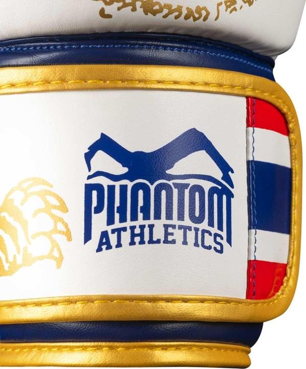 Immagine prodotto Phantom Athletics Athletics Muay Thai Boxhandschuhe 14oz (14 OZ, Taglia unica)