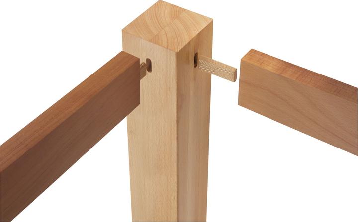 Actual product image Festool Domino Dowel Beech D 6x40/190 BU (190 pcs.)