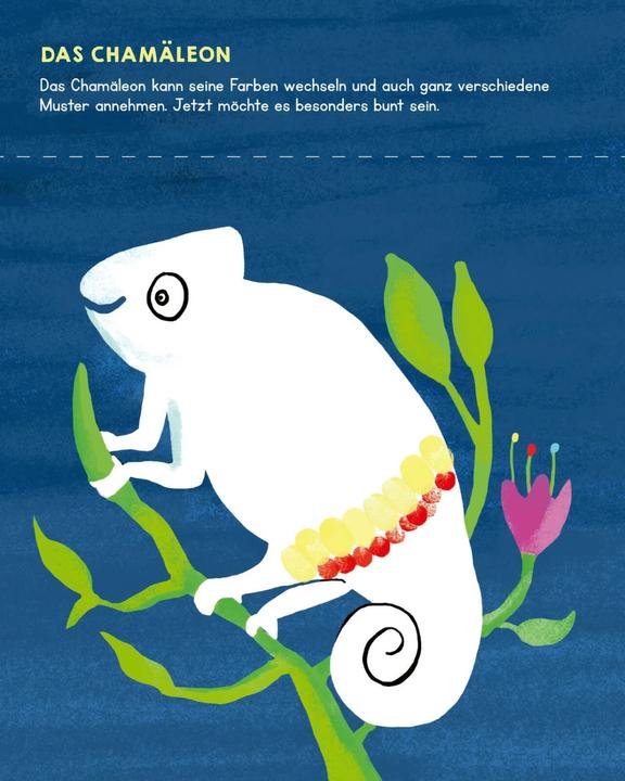 Produktbild Für Klitzekleine: Meine allerersten Fingerstempel Tiere (Deutsch, Katja Mensing, 2024)