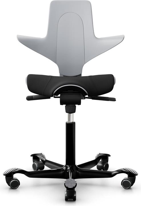 Actual product image HAG Capisco Puls