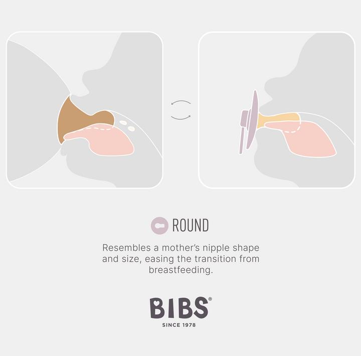 Produktbild Bibs Flaschensauger Silicone Medium Flow 2 Stück
