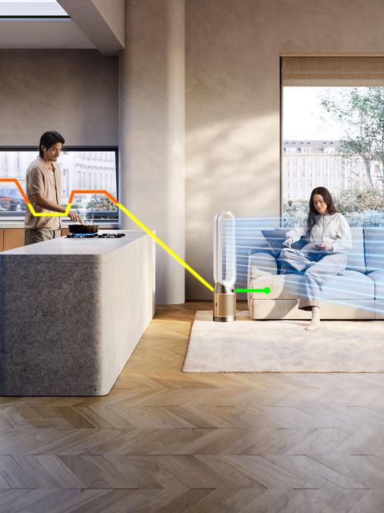 Actual product image Dyson Purifier Cool PC2 De-NOx