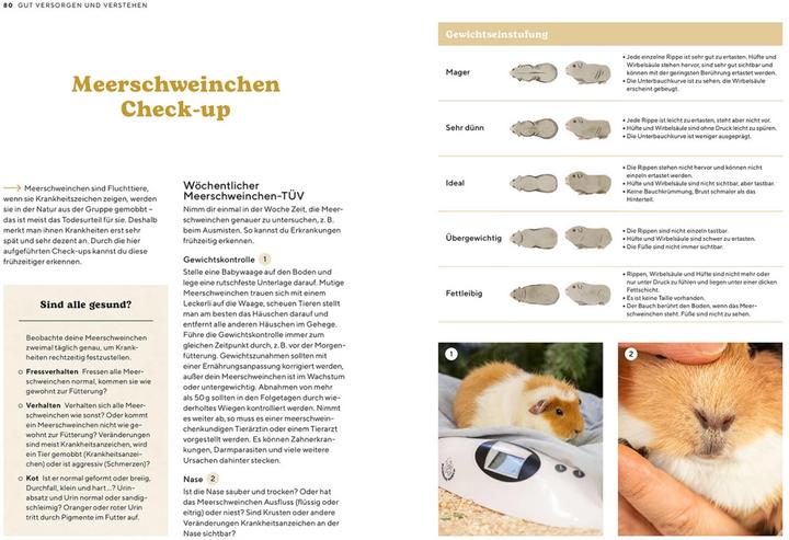 Produktbild Kosmos Meerschweinchen (Deutsch, Viola Schillinger, 2023)