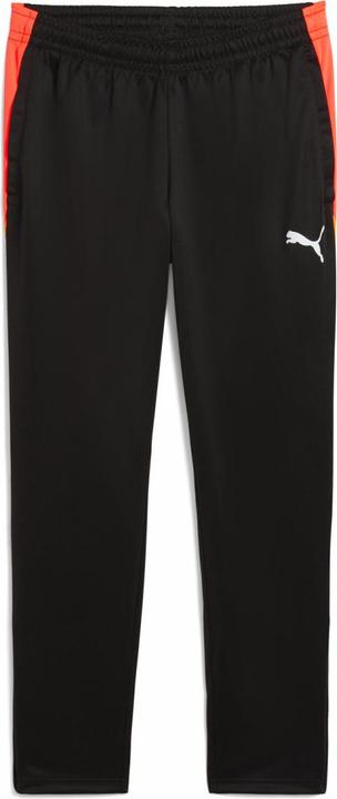 Puma IndividualLIGA Training Pants
