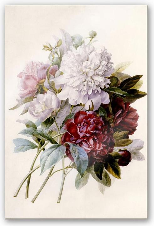 Immagine prodotto Trenddeko Redouté - bouquet di peonie rosse, viola e bianche (40 x 60 cm)