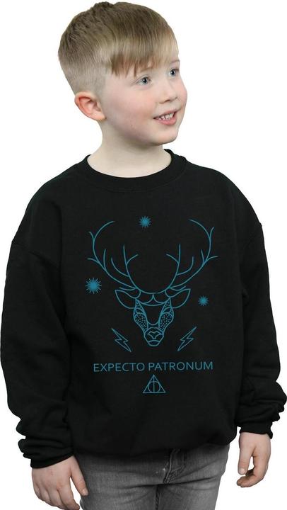 Actual product image Boys Expecto Patronum Sweatshirt (140, 146)