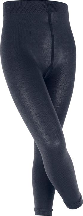 Falke Leggings Active Warm
