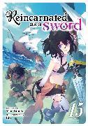 Produktbild Reincarnated as a Sword (Light Novel) Vol. 15 (Englisch, Llo, Yuu Tanaka, 2024)