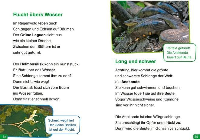 Produktbild Tessloff WAS IST WAS Erstes Lesen easy! Band 18. Tiere im Regenwald (Deutsch, Sonja Meierjürgen, Marie Gerstner, 2024)