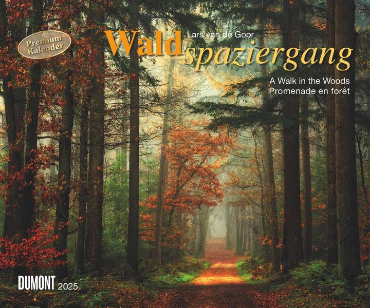 Produktbild Waldspaziergang 2025 – Fotokunst-Kalender – Querformat 60 x 50 cm – Spiralbindung (Harter Einband, Deutsch)